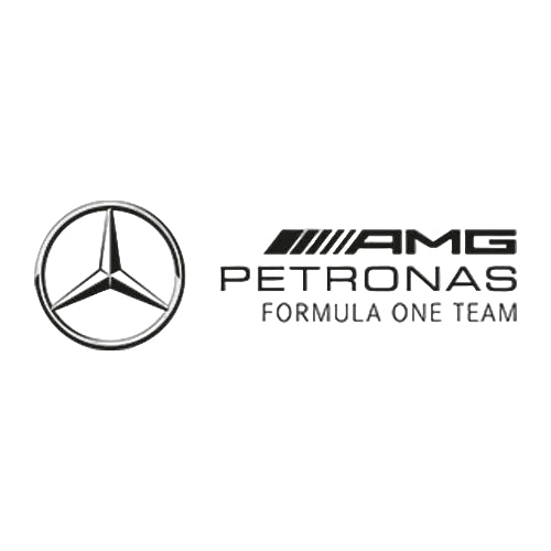 Mercedes F1 Racing Suit - GPX Wear